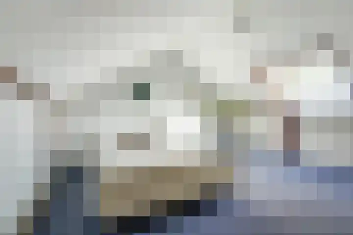 Lidwinastraat 10 Bemmel thumbnail 47