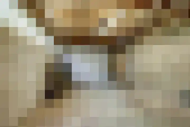 Lidwinastraat 10 Bemmel thumbnail 51