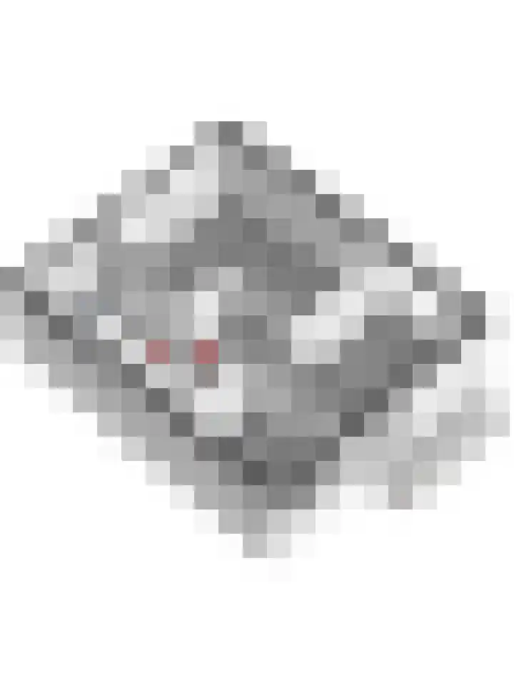 Lidwinastraat 10 Bemmel thumbnail 58