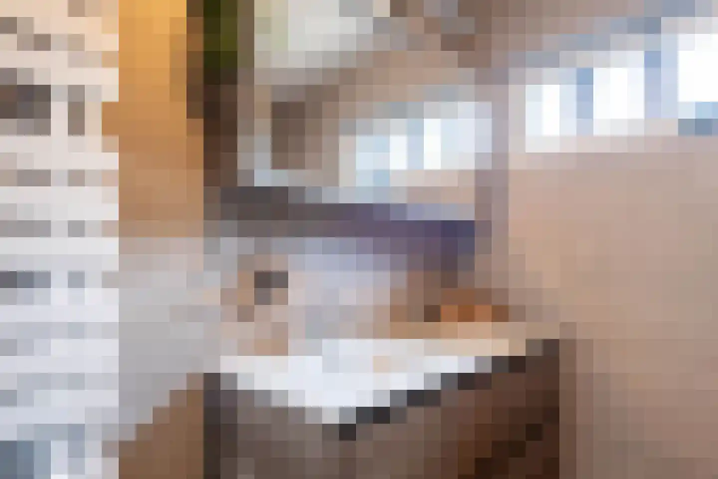 Lidwinastraat 101 Schijndel thumbnail 30