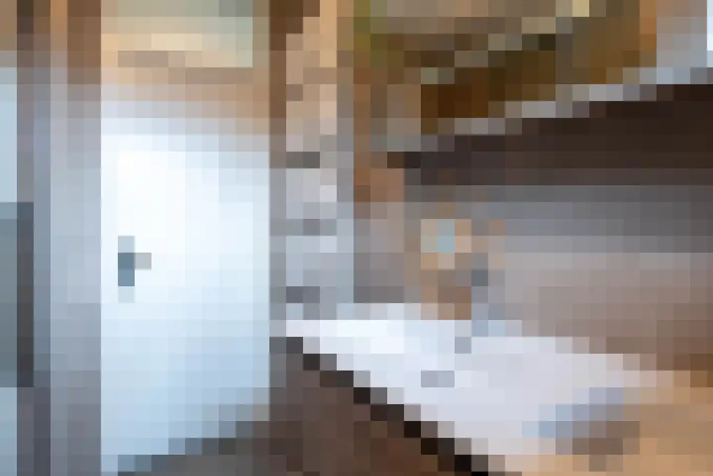 Lidwinastraat 101 Schijndel thumbnail 32