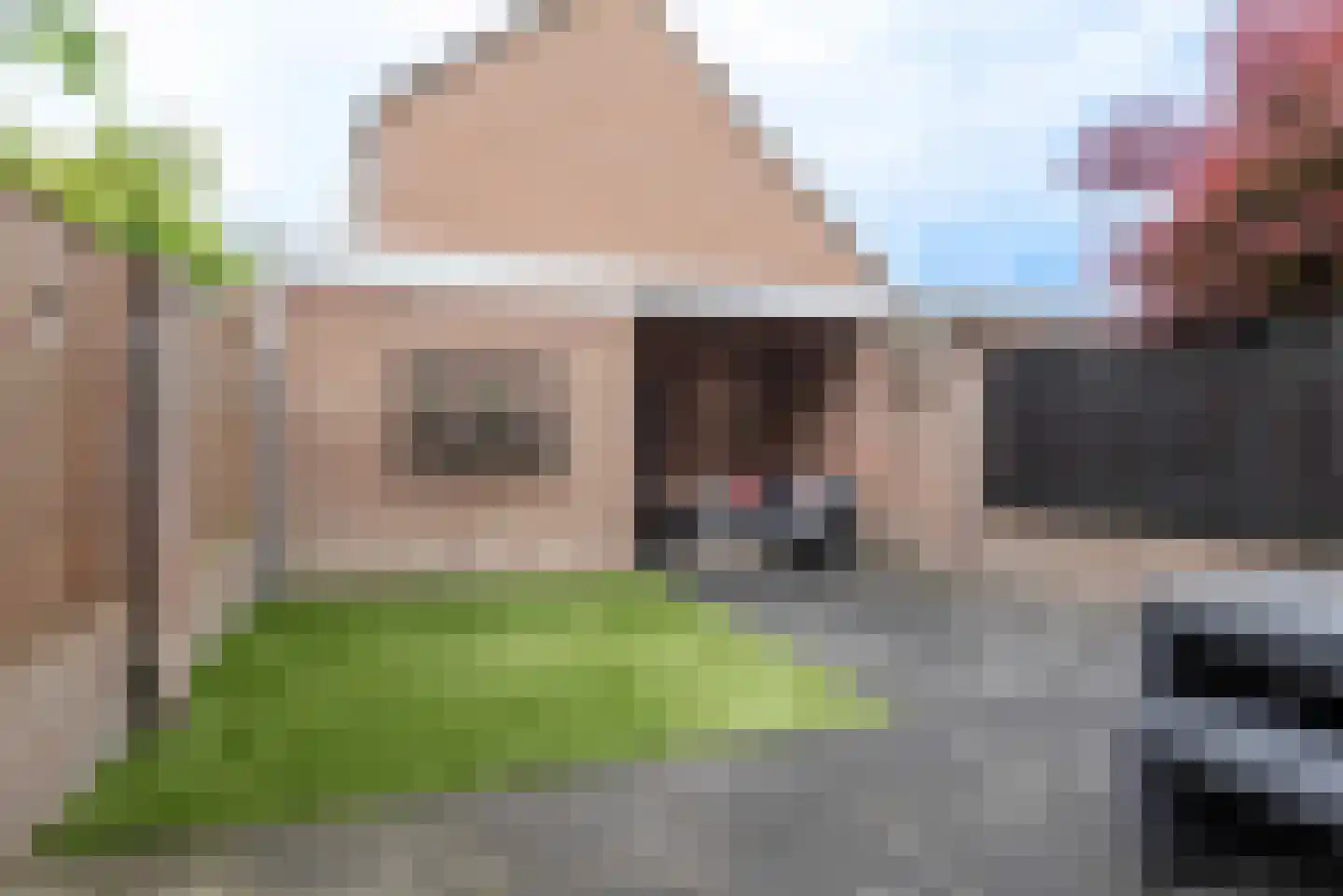 Lidwinastraat 101 Schijndel thumbnail 36