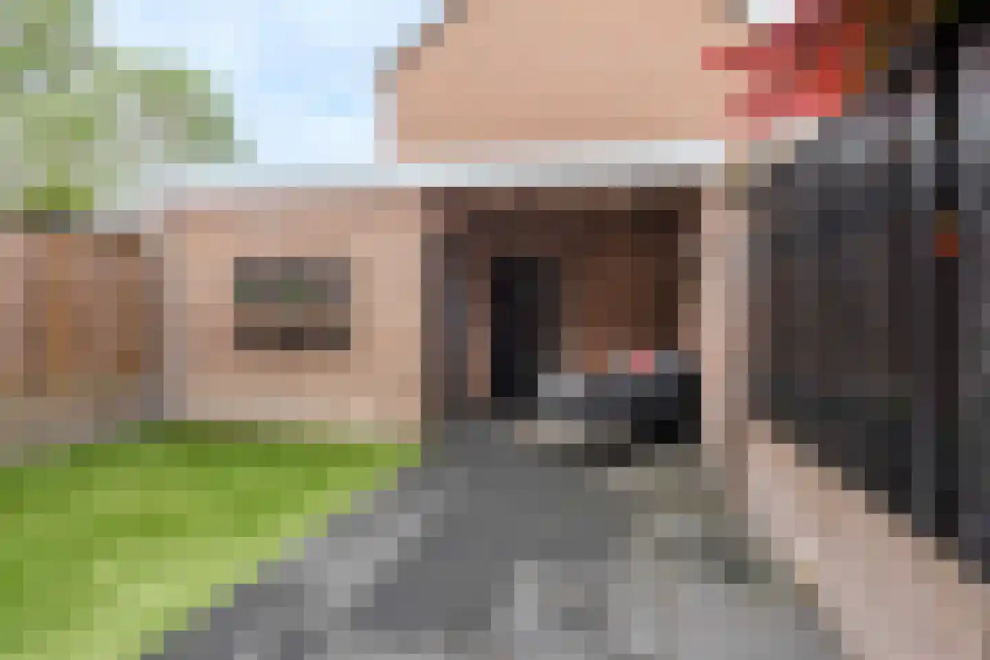 Lidwinastraat 101 Schijndel thumbnail 37