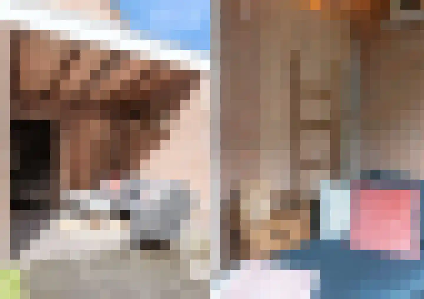 Lidwinastraat 101 Schijndel thumbnail 39