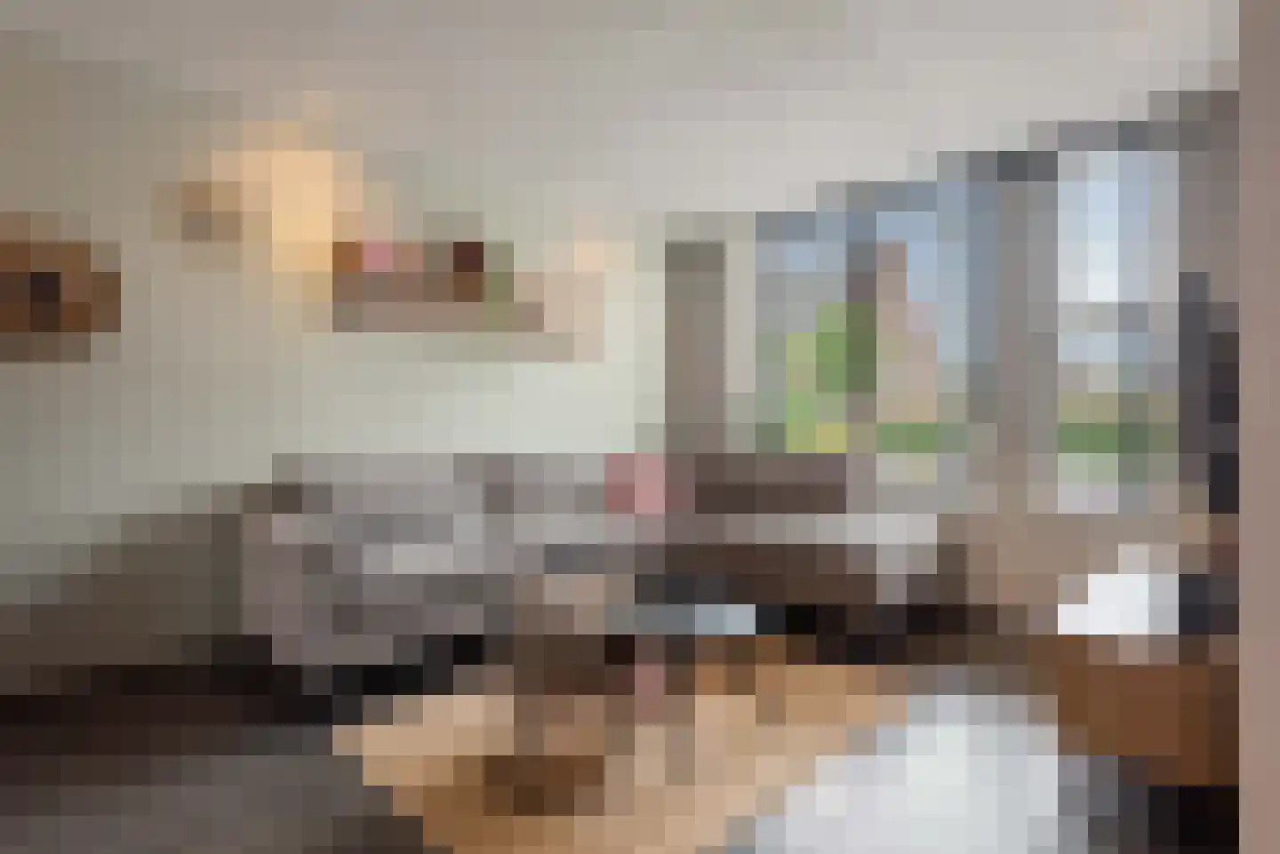 Lidwinastraat 101 Schijndel thumbnail 7