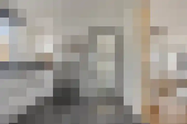 Lidwinastraat 15 Kelpen-Oler thumbnail 11
