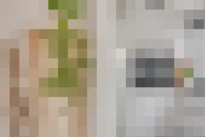 Lidwinastraat 15 Kelpen-Oler thumbnail 14