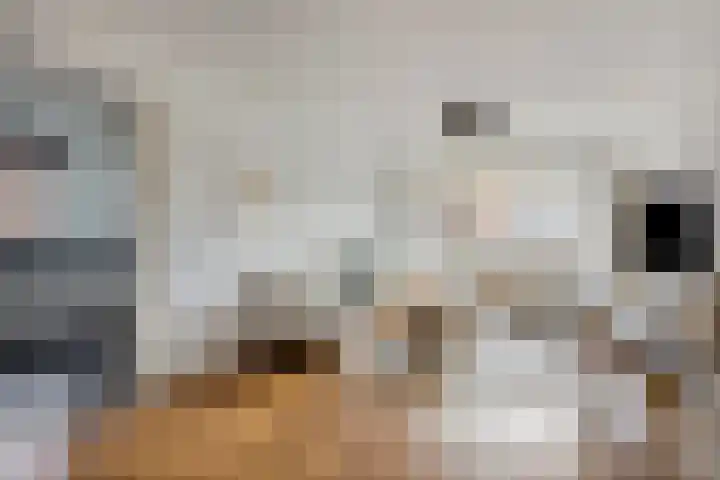Lidwinastraat 15 Kelpen-Oler thumbnail 15