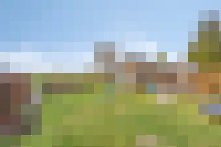 Lidwinastraat 15 Kelpen-Oler thumbnail 46