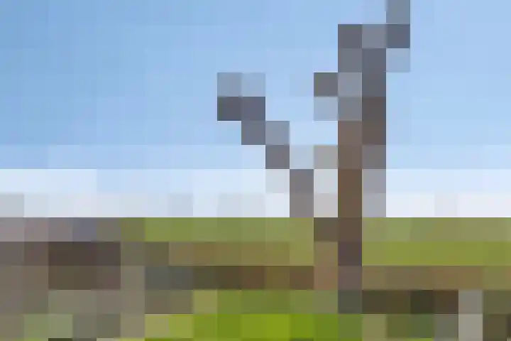 Lidwinastraat 15 Kelpen-Oler thumbnail 48