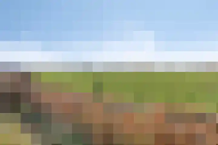 Lidwinastraat 15 Kelpen-Oler thumbnail 49