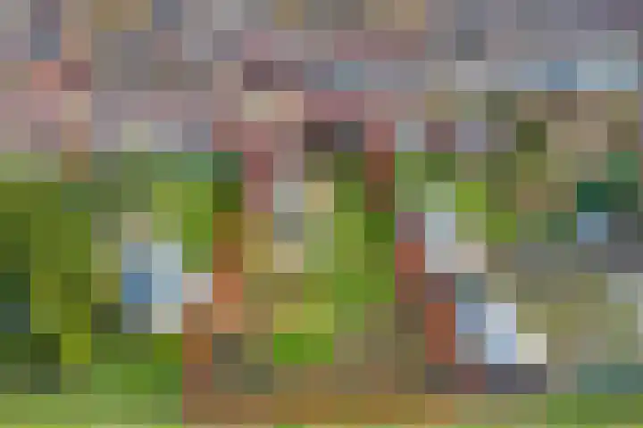 Lidwinastraat 15 Kelpen-Oler thumbnail 53