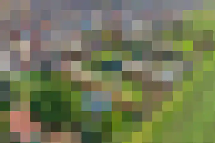 Lidwinastraat 15 Kelpen-Oler thumbnail 54