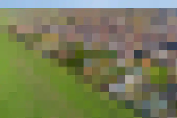 Lidwinastraat 15 Kelpen-Oler thumbnail 55