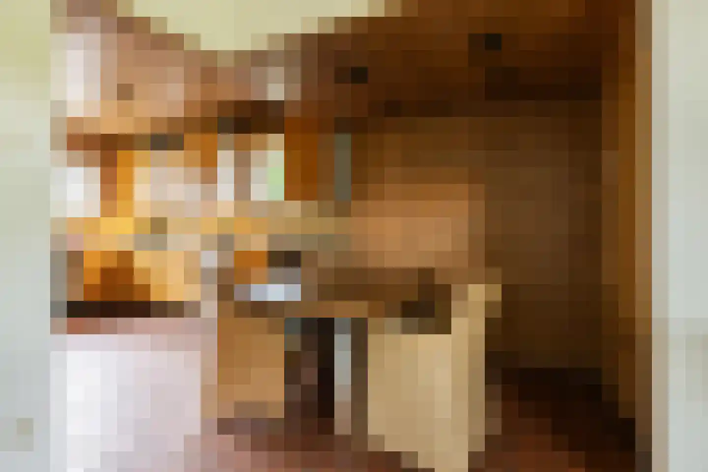 Lidwinastraat 6 Bemmel thumbnail 20