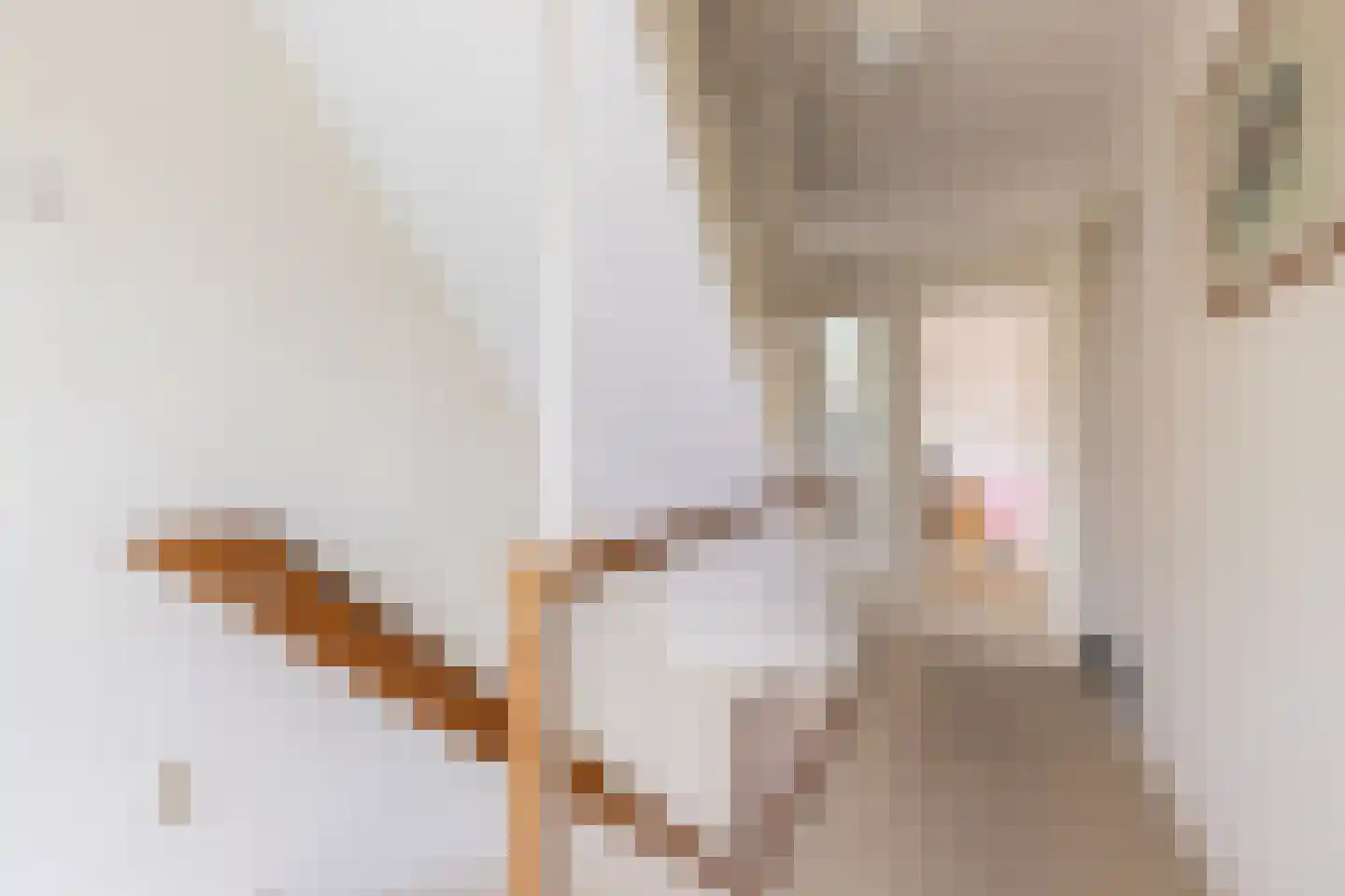 Lidwinastraat 6 Bemmel thumbnail 25