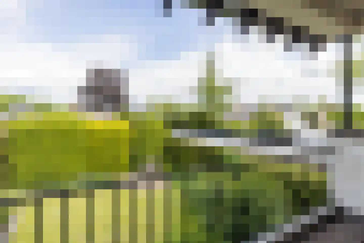 Lidwinastraat 6 Bemmel thumbnail 28