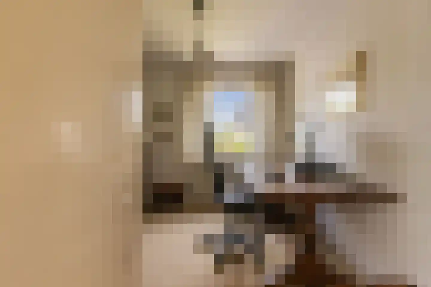Lidwinastraat 6 Bemmel thumbnail 35