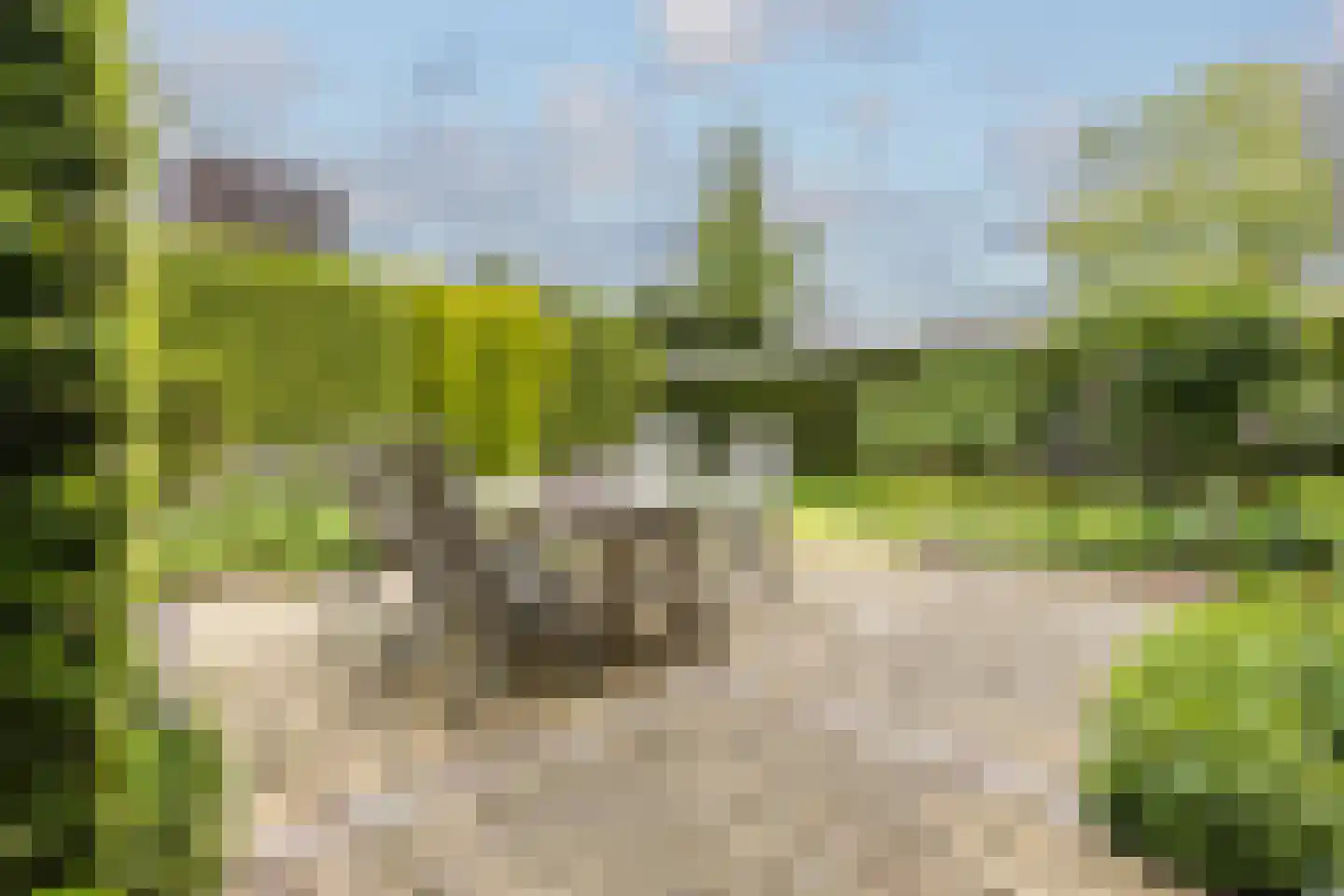Lidwinastraat 6 Bemmel thumbnail 37