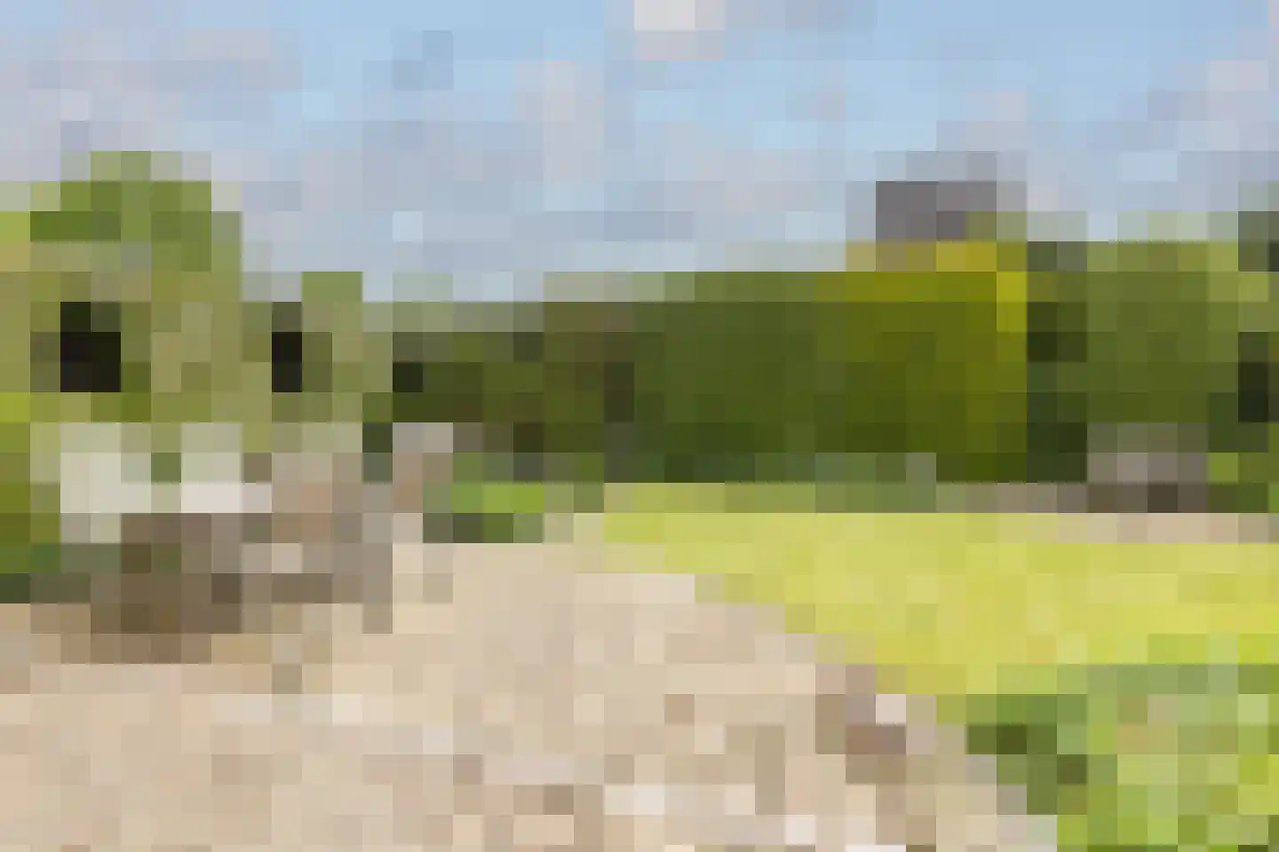 Lidwinastraat 6 Bemmel thumbnail 40