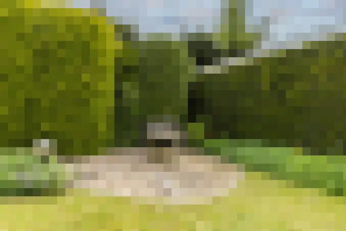 Lidwinastraat 6 Bemmel thumbnail 41