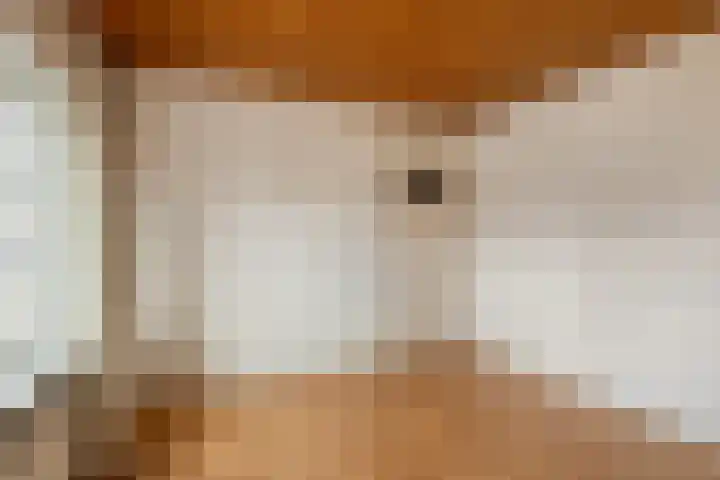 Lidwinastraat 6 Kelpen-Oler thumbnail 20