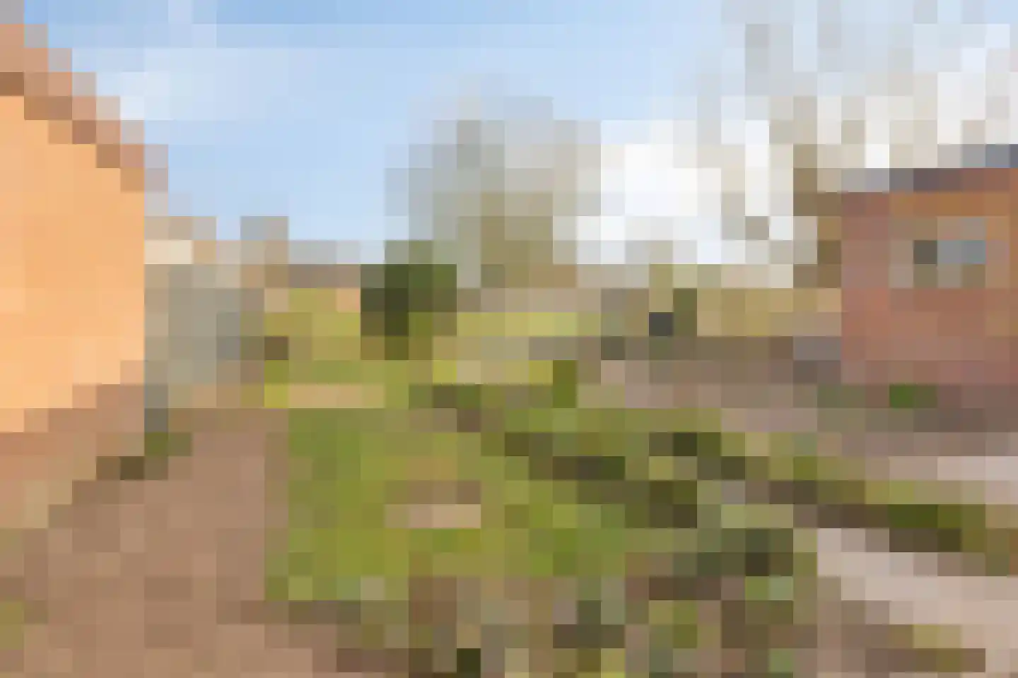 Lidwinastraat 6 Kelpen-Oler thumbnail 34