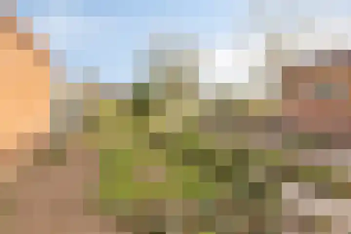 Lidwinastraat 6 Kelpen-Oler thumbnail 34