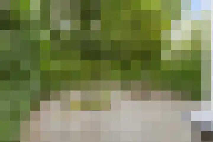 Lidwinastraat 8 Vught thumbnail 10
