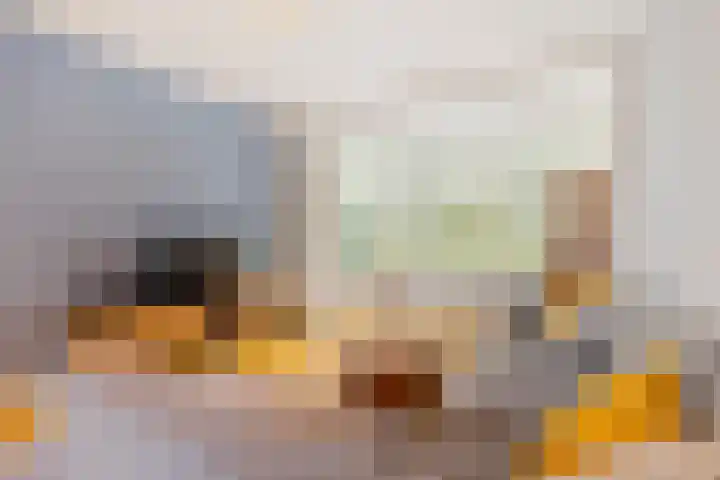 Lidwinastraat 8 Vught thumbnail 16