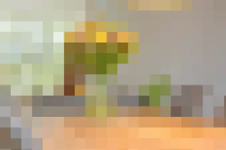 Lidwinastraat 8 Vught thumbnail 19