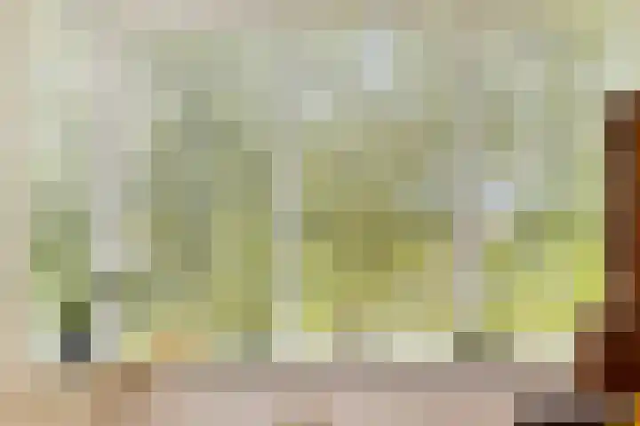 Lidwinastraat 8 Vught thumbnail 21