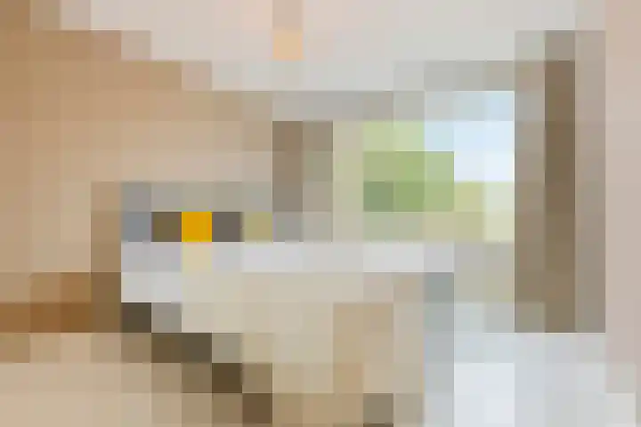 Lidwinastraat 8 Vught thumbnail 28