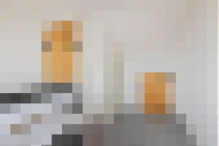 Lidwinastraat 8 Vught thumbnail 36