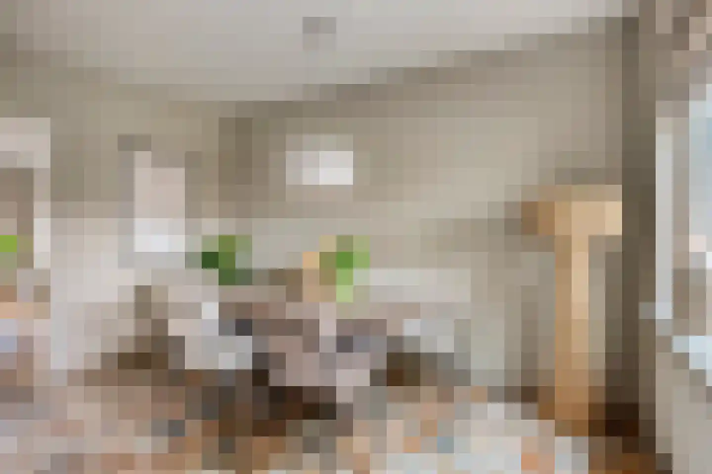 Lidwinaweg 28 Zenderen thumbnail 14