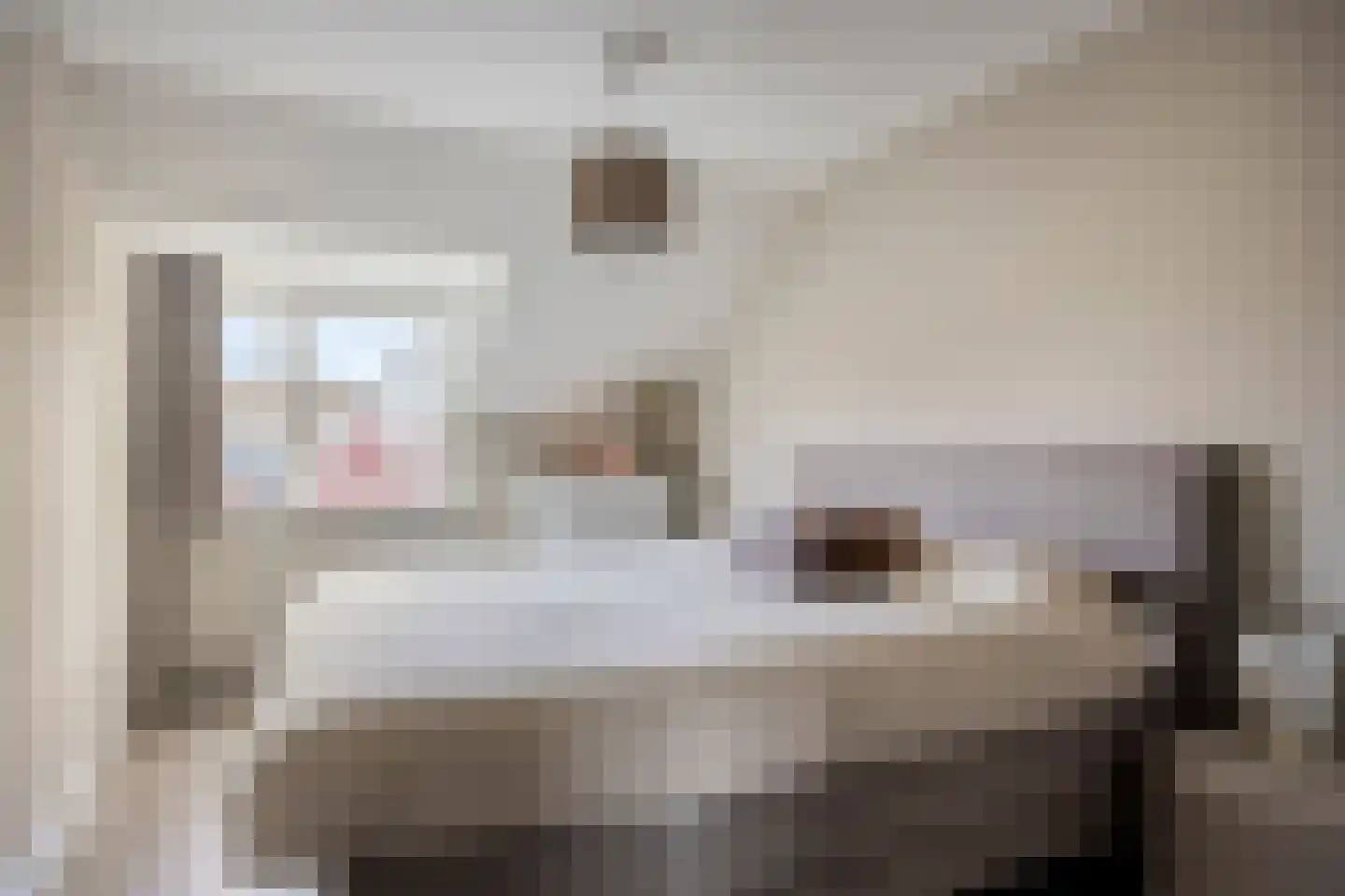 Lidwinaweg 28 Zenderen thumbnail 18