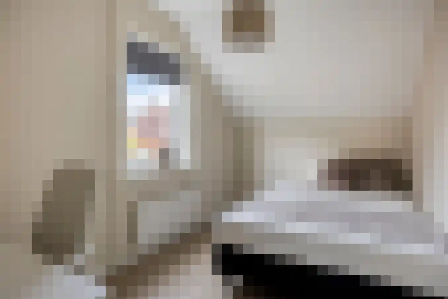 Lidwinaweg 28 Zenderen thumbnail 22