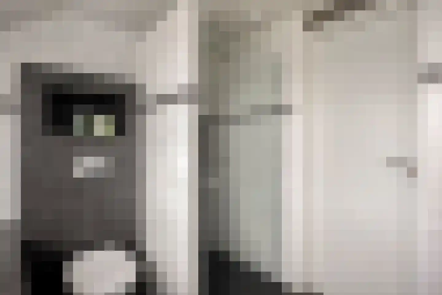Lidwinaweg 28 Zenderen thumbnail 25