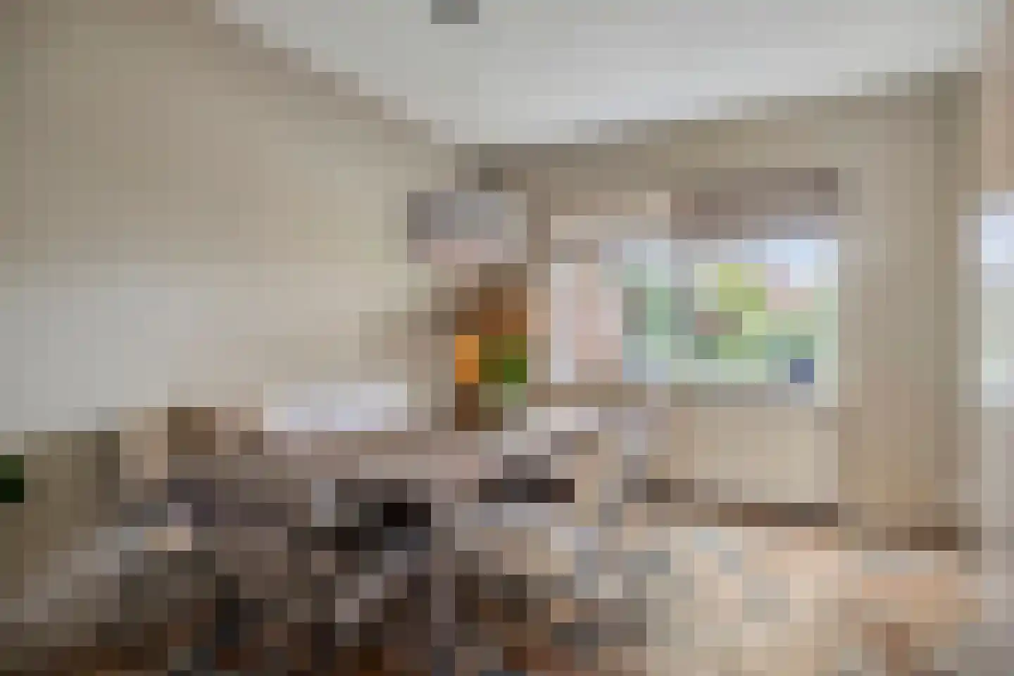Lidwinaweg 28 Zenderen thumbnail 4