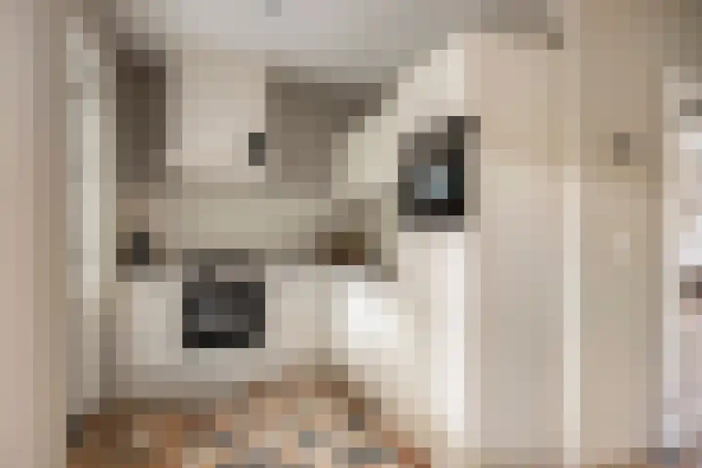 Lidwinaweg 28 Zenderen thumbnail 5