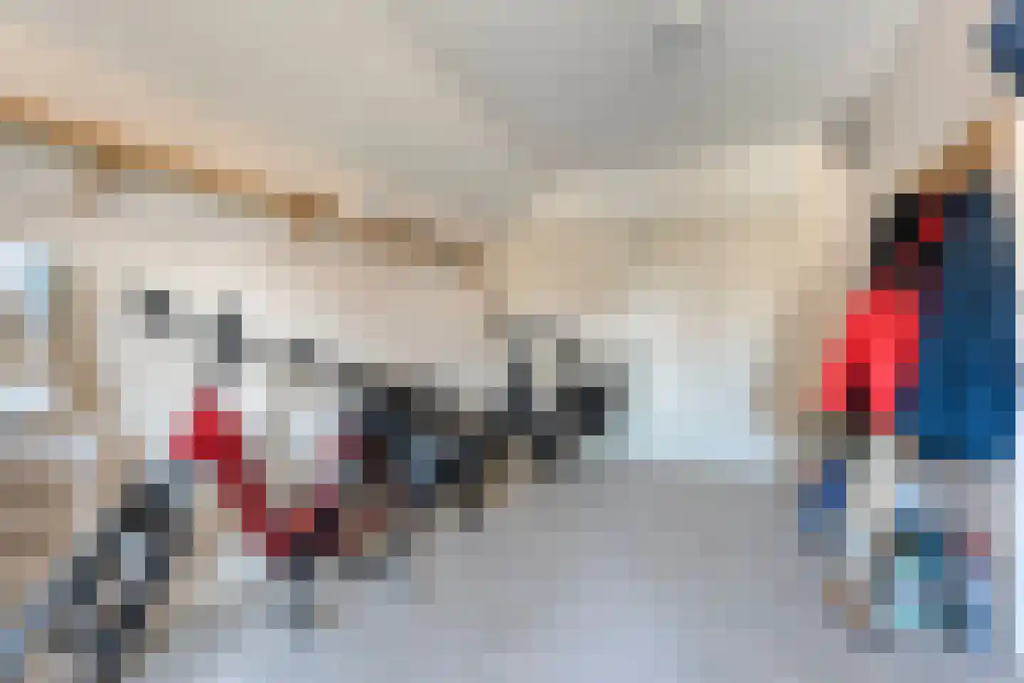 Liebeek 22 Almelo thumbnail 17