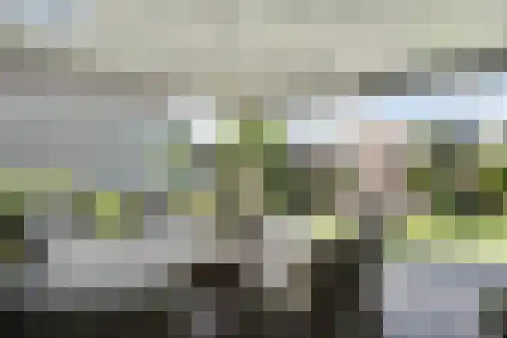 Liebeek 22 Almelo thumbnail 27