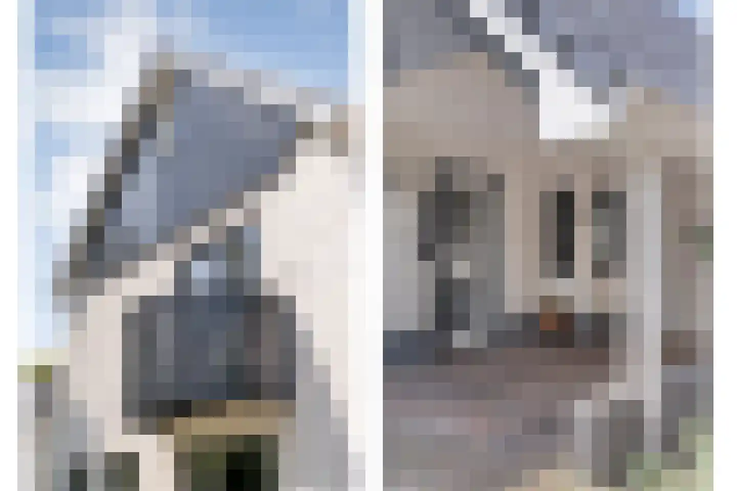 Liebeek 22 Almelo thumbnail 4