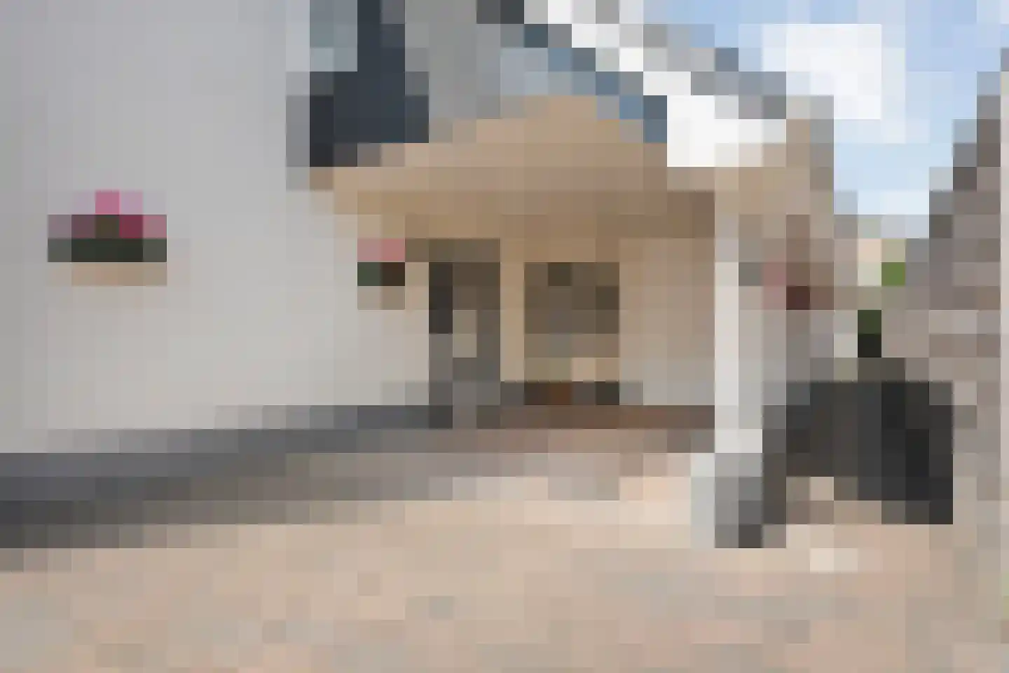 Liebeek 22 Almelo thumbnail 5