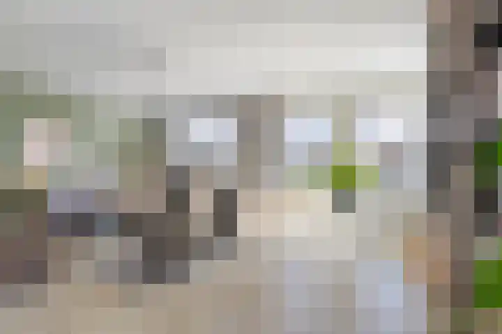Liebeek 22 Almelo thumbnail 8
