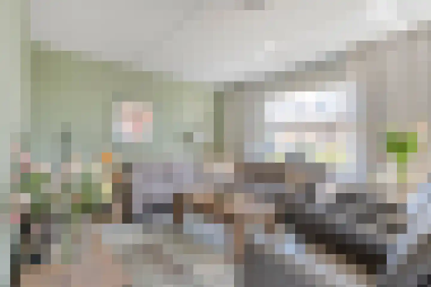 Liebeek 22 Almelo thumbnail 8