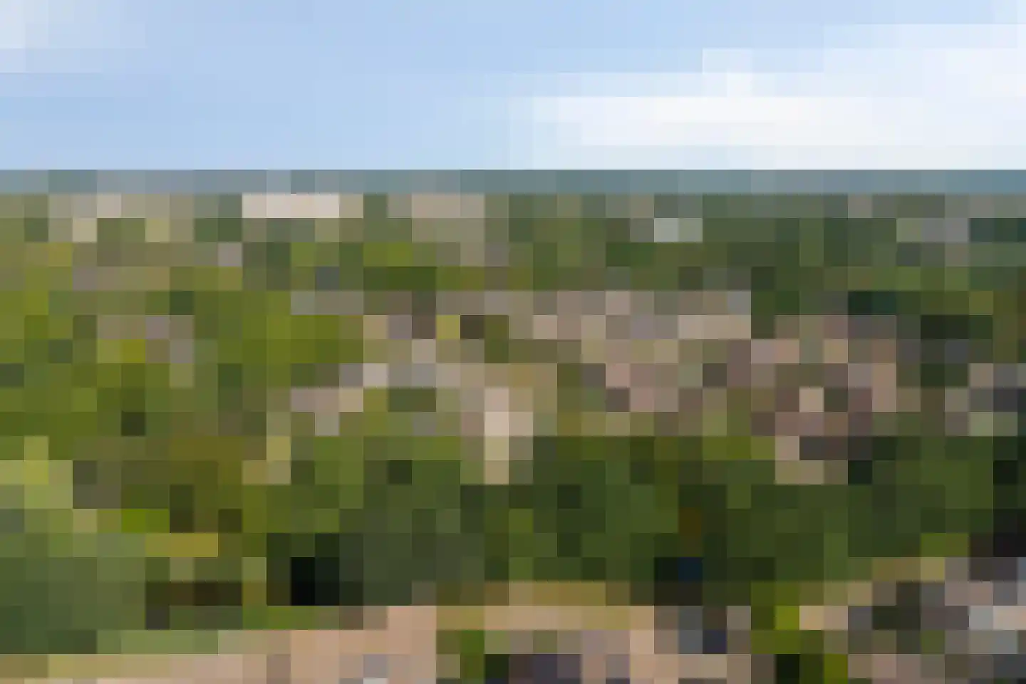 Liebeek 45 Ede thumbnail 42