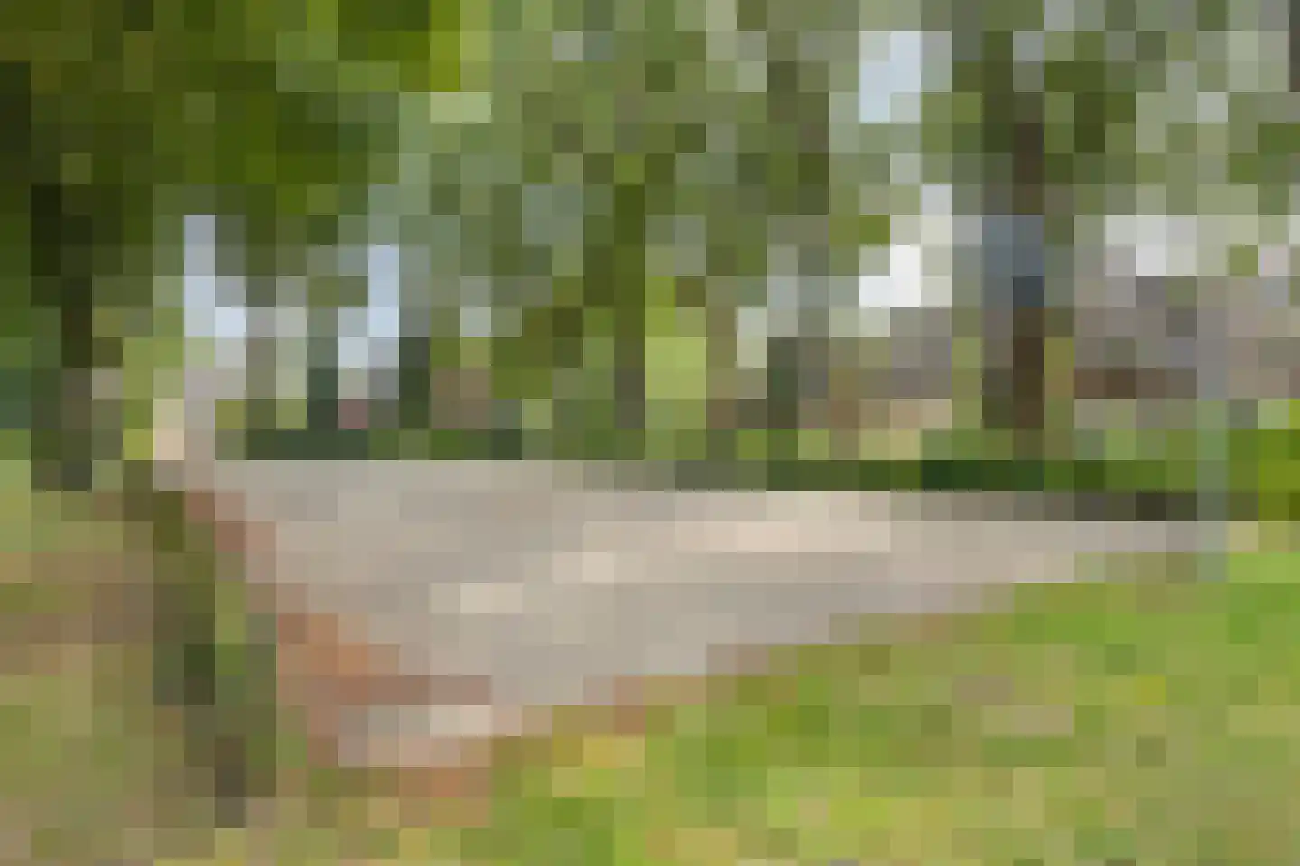 Liebeek 45 Ede thumbnail 44