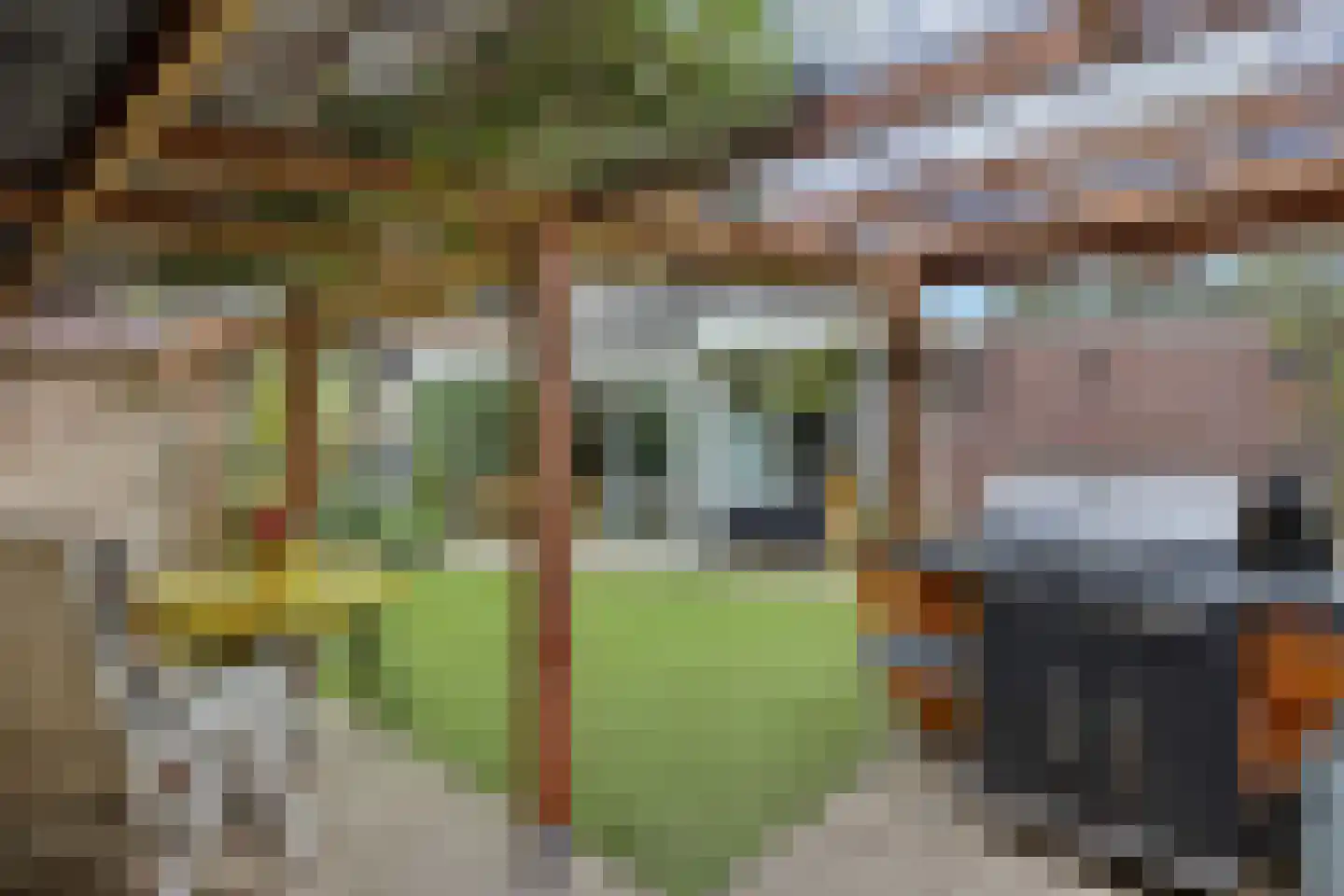 Liebeek 6 Ede thumbnail 40