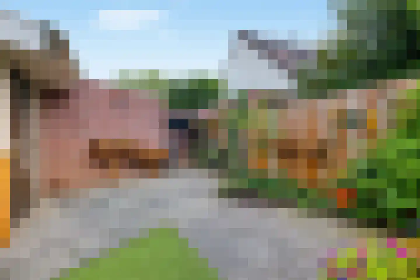 Liebeek 6 Ede thumbnail 42